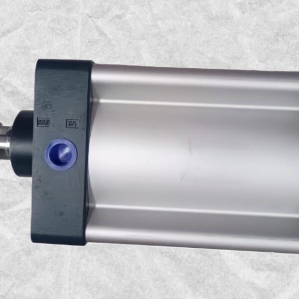 XCPC SI 80X250 PISTON