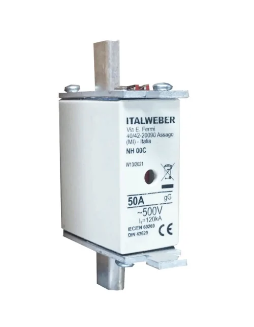 italweber Electric circuit breaker ITALWEBER 2403051 50A 690V - الصورة 1
